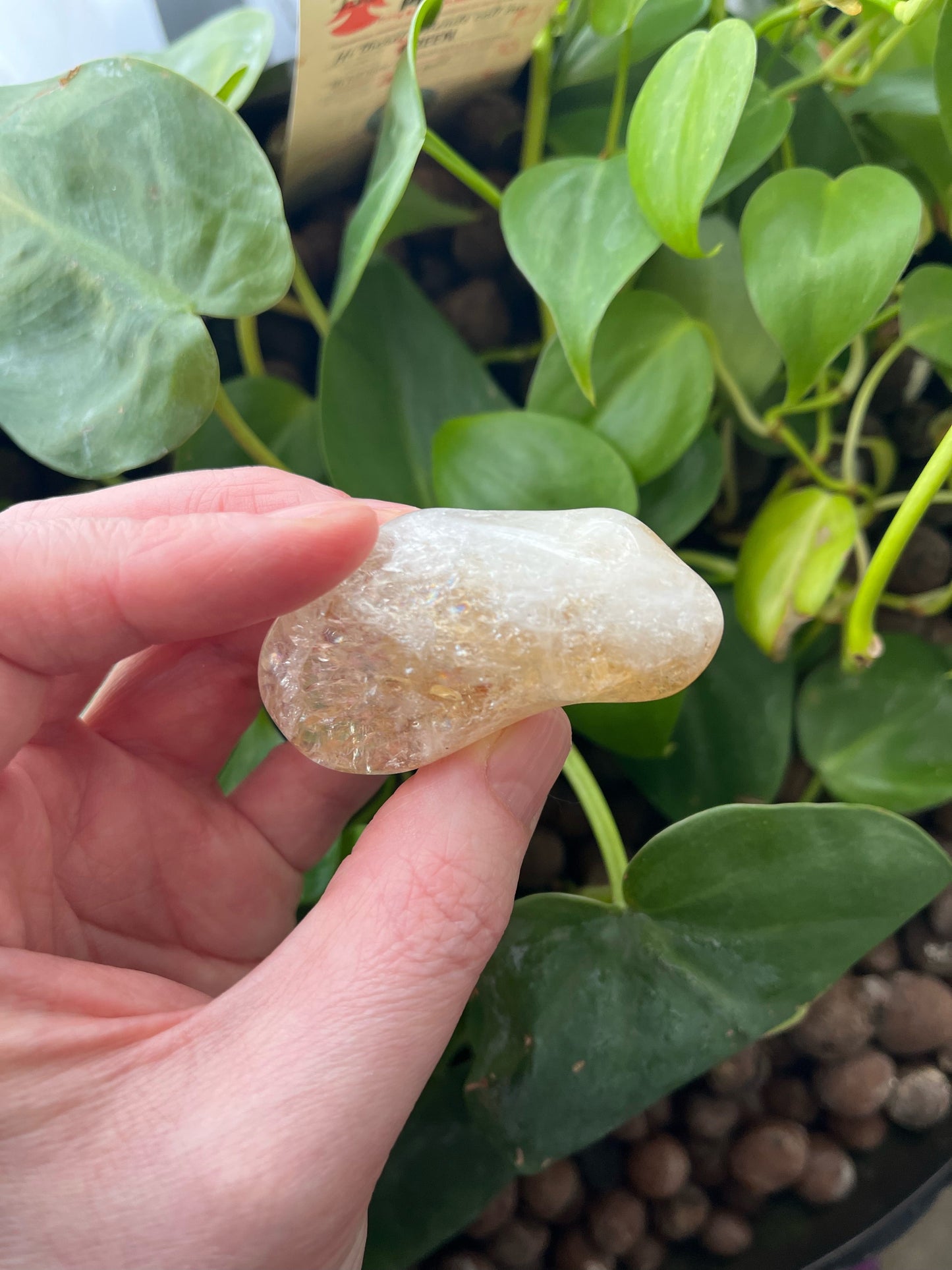 Citrine Tumble - Medium