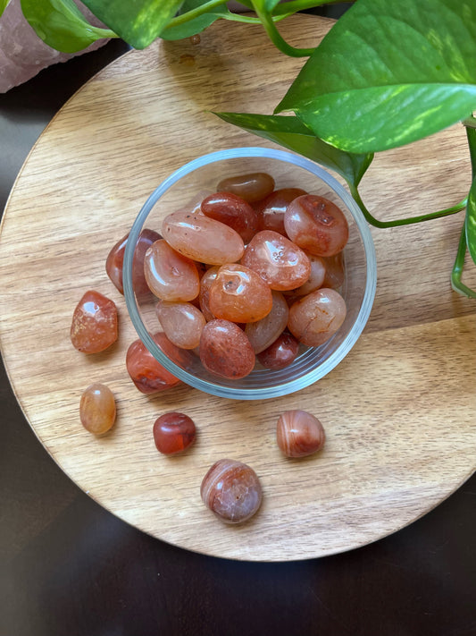 Carnelian Tumbles