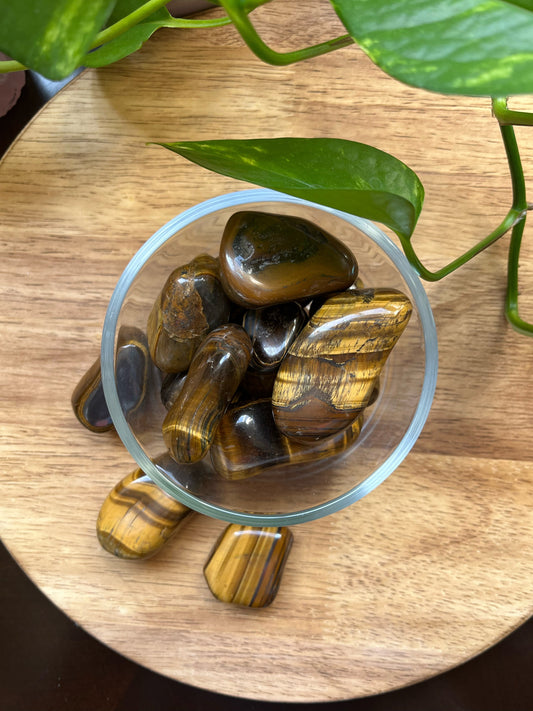 Tigers Eye Tumbles