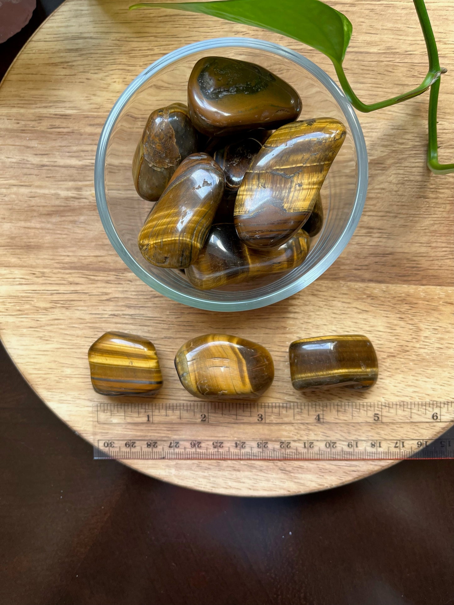 Tigers Eye Tumbles
