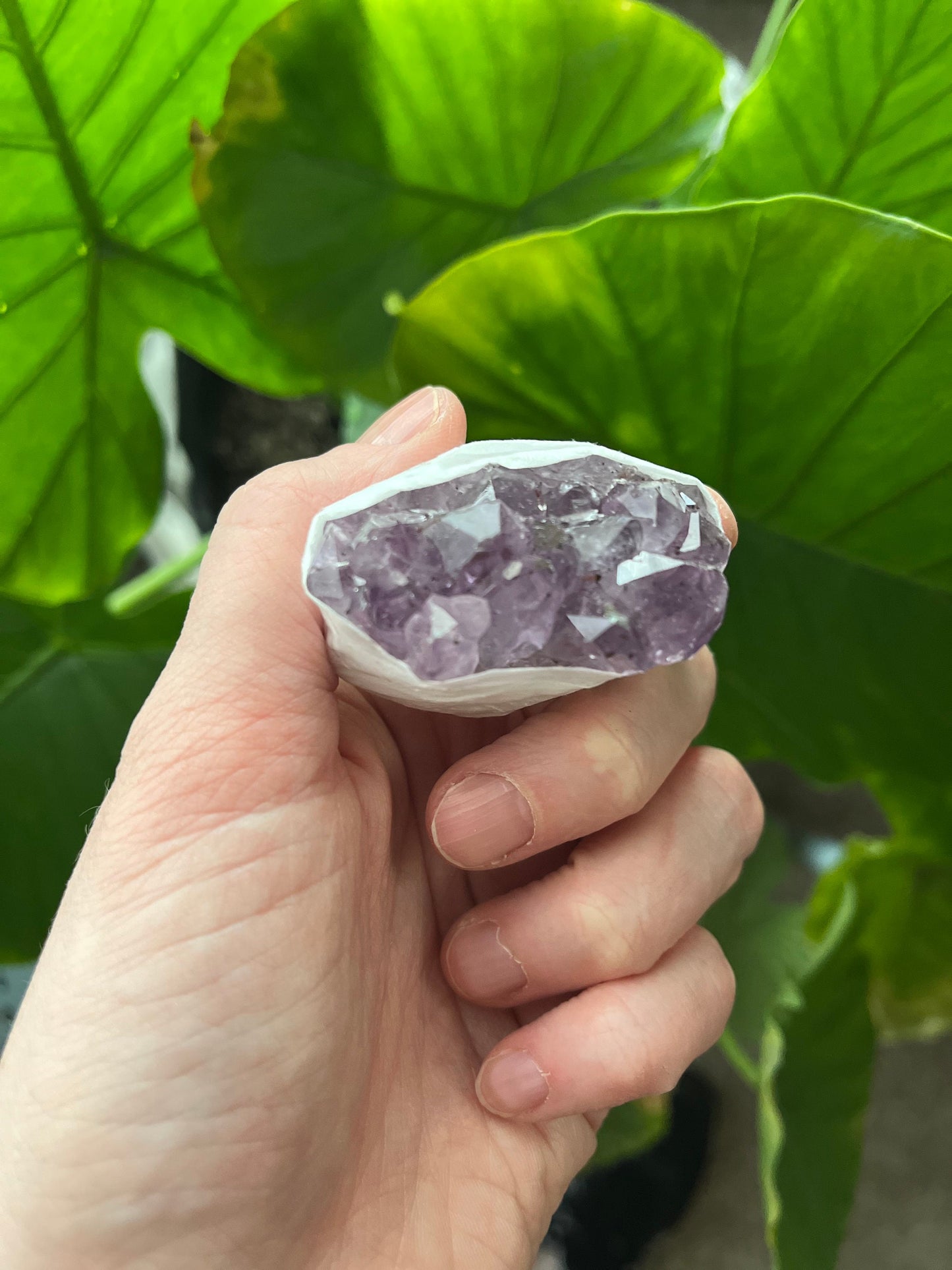 Amethyst Druzy Grade A Clusters.