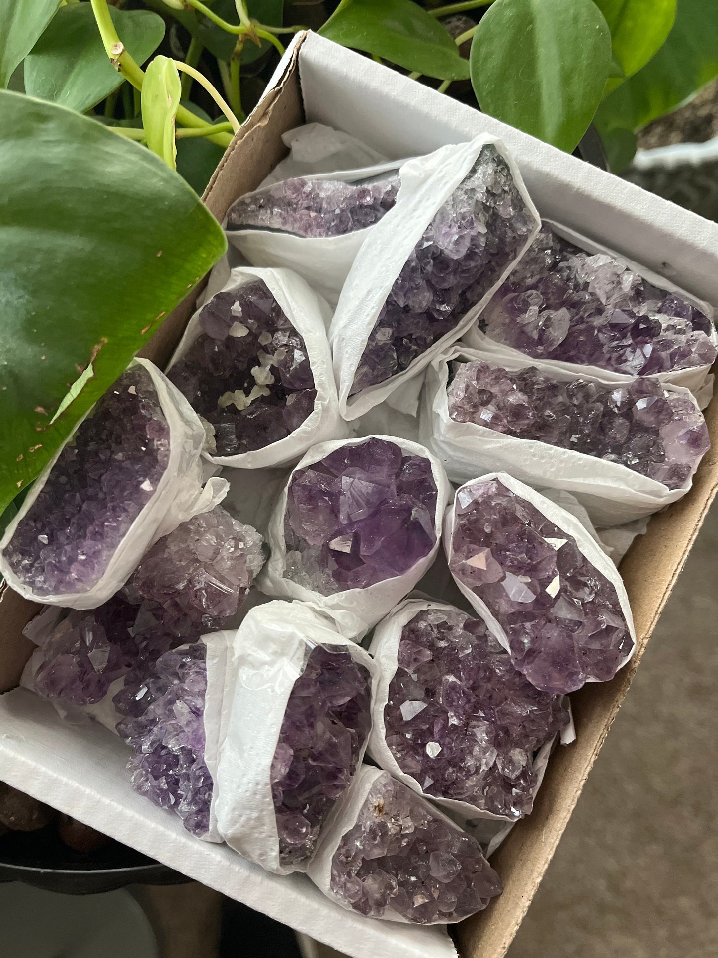 Amethyst Druzy Grade A Clusters.