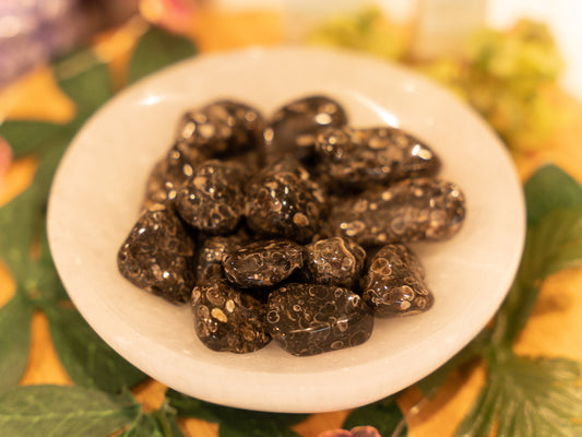Turitella Agate Tumbled Crystal Stones