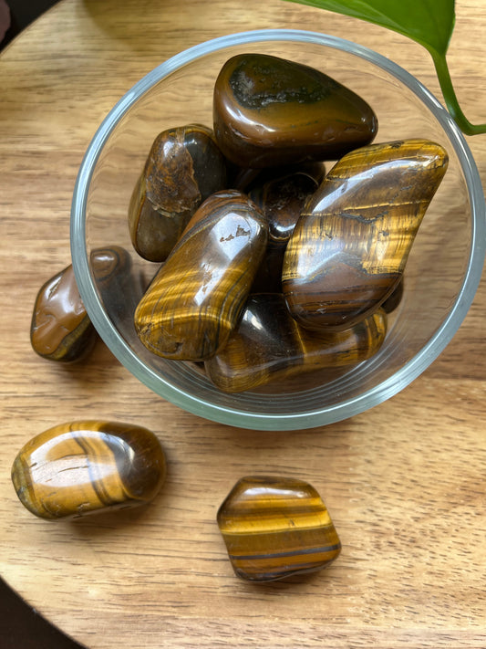 Tigers Eye Tumbles