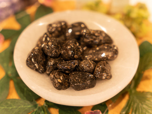 Turitella Agate Tumbles, Fertility Stone, Healing Mother Earth Crystals, Past Life Stones, Protection Crystal, Car Protection Crystals
